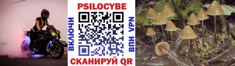 Псилоцибиновые грибы мухоморы Грайворон